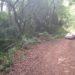 Polícia encontra veículo de jovem sapiranguense na zona rural