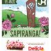 Edição especial dos 65 anos de Sapiranga