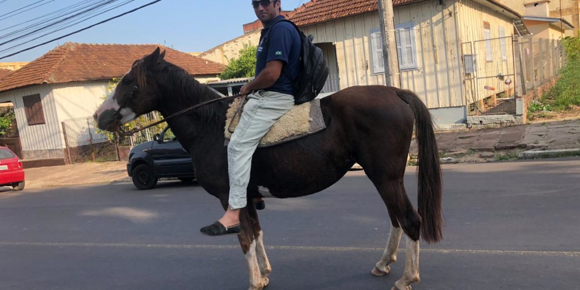 DP de Sapiranga localiza égua crioula e devolve ao proprietário