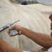 Antecipada a campanha de vacinação contra febre aftosa