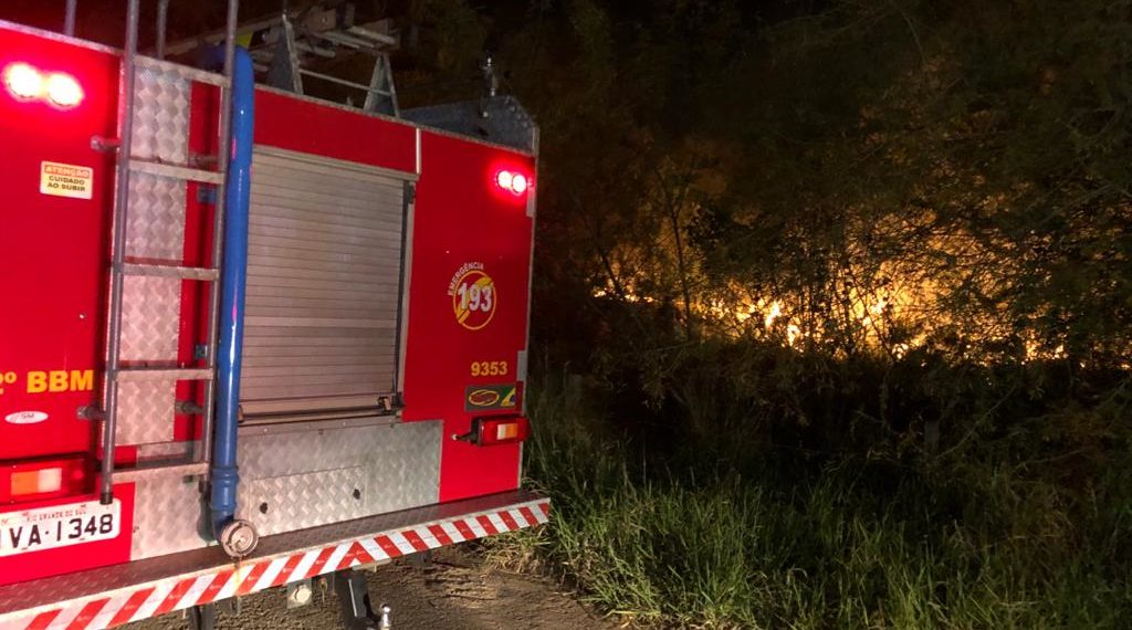 Bombeiros combatem incêndio em vegetação próxima a RS-239