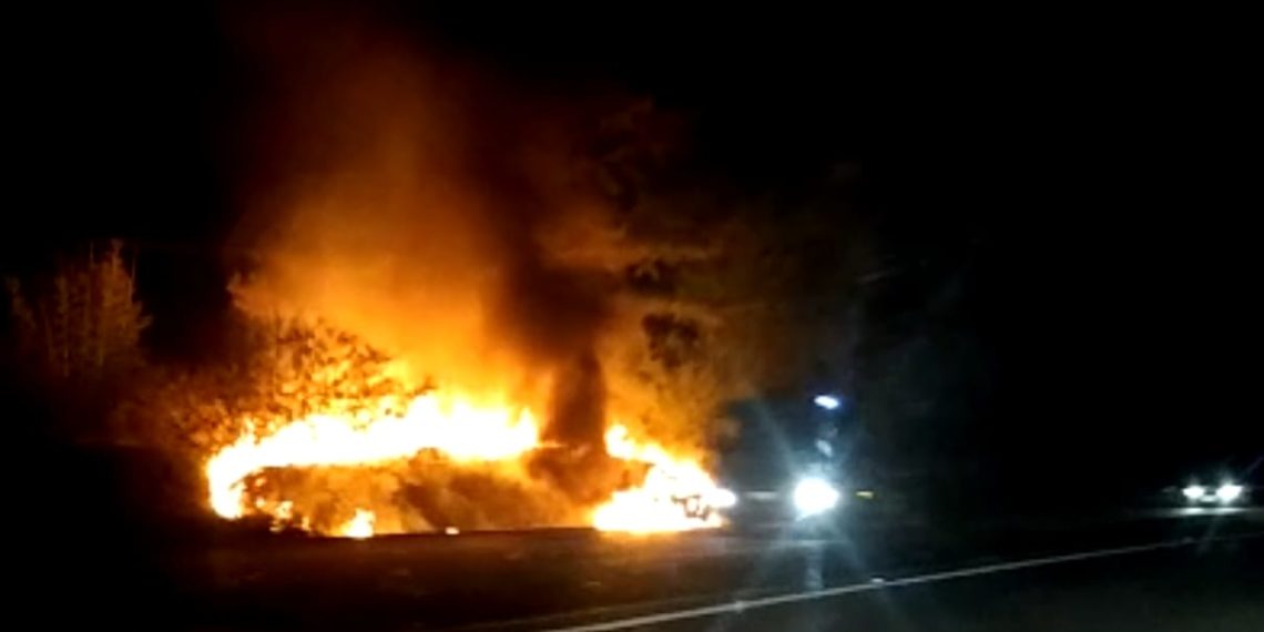 Carro pega fogo e causa incêndio florestal nas margens da RS-239, em Nova Hartz