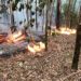 Equipes de bombeiros combateram incêndio florestal no Paranhana