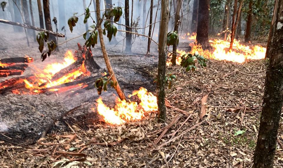 Equipes de bombeiros combateram incêndio florestal no Paranhana