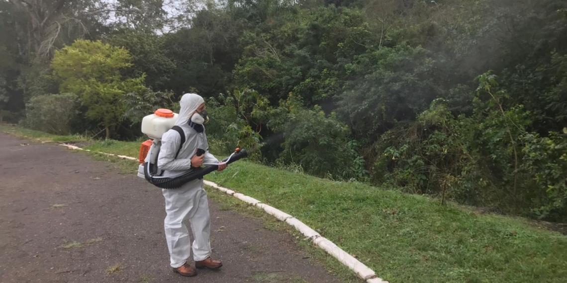 Campo Bom faz desinsetização para controle do Aedes aegypti