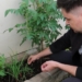 Do curso de compostagem oferecido pela Prefeitura de Campo Bom à horta em casa