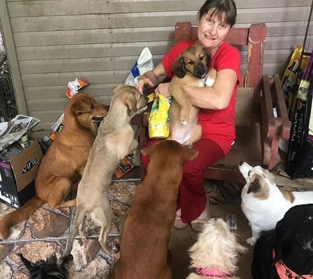 Sapiranguense dedica 25 anos da sua vida  para cuidar de cães e gatos abandonados