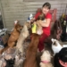 Sapiranguense dedica 25 anos da sua vida  para cuidar de cães e gatos abandonados