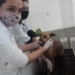 Cadela vítima de maus-tratos passará por cirurgia nesta quinta em Sapiranga