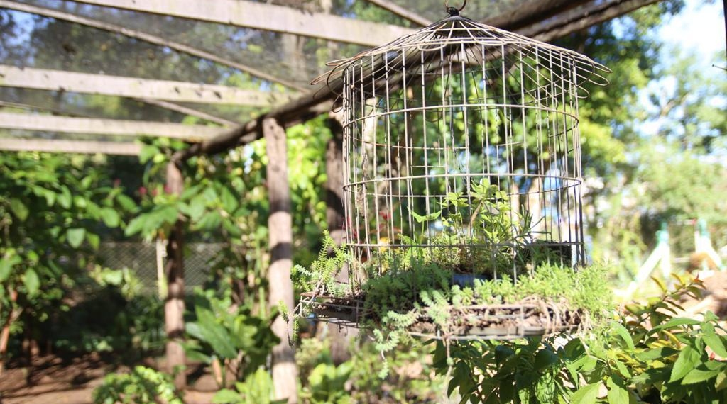 Floração Hortas Urbanas retoma atendimentos em Campo Bom