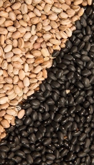 Procon de Campo Bom emite nota sobre o aumento dos preços dos alimentos