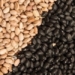 Procon de Campo Bom emite nota sobre o aumento dos preços dos alimentos