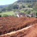 Sonho de construir primeiros aviários está saindo do papel, em Sapiranga