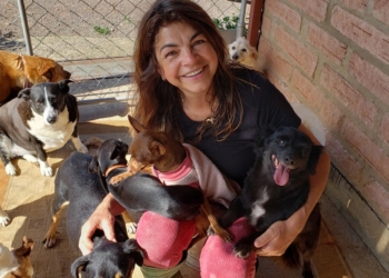 Pizzaract, ação do Rotaract Club de Campo Bom em apoio ao Projeto Cão Rural, é neste final de semana