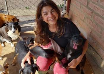 Rotaract Club de Campo Bom organiza pizzaract em apoio ao Projeto Cão Rural