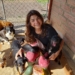Rotaract Club de Campo Bom organiza pizzaract em apoio ao Projeto Cão Rural