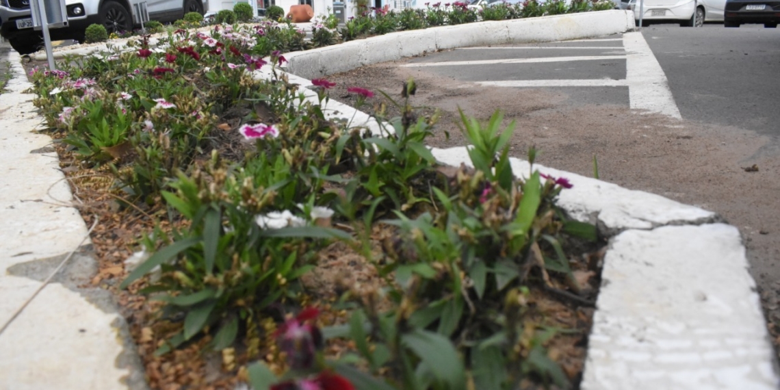 Tem um colorido diferente na área central de Nova Hartz