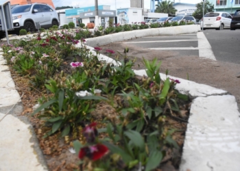 Tem um colorido diferente na área central de Nova Hartz