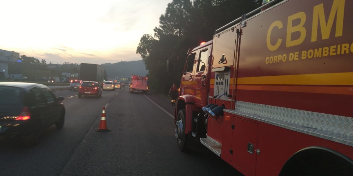 Incêndio na floresta às margens da RS-239 causa engarrafamento; veja vídeo