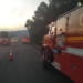 Incêndio na floresta às margens da RS-239 causa engarrafamento; veja vídeo