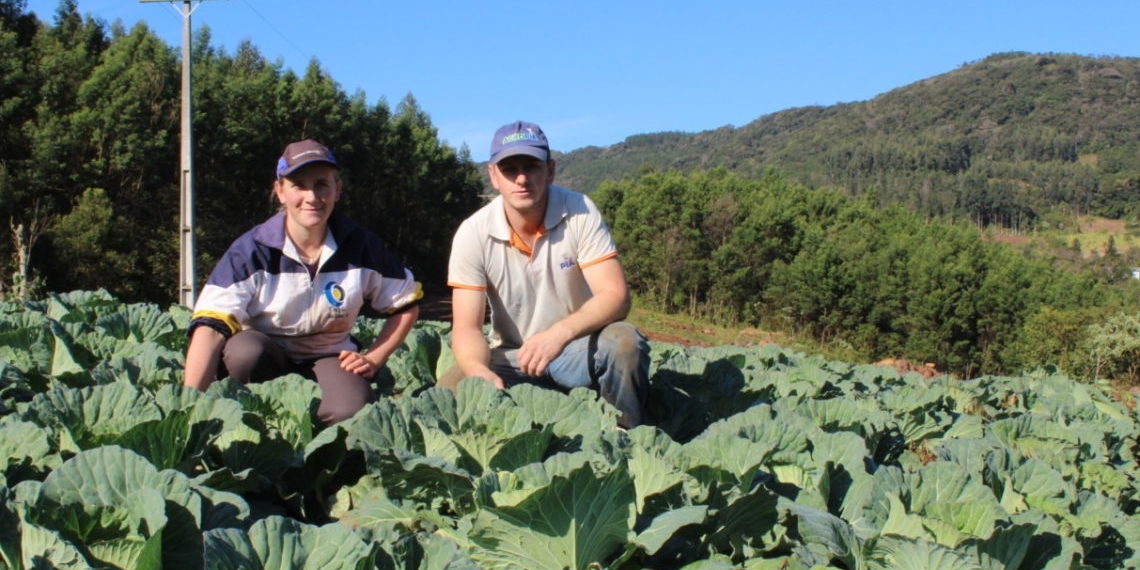 Trabalho destacado na agricultura eleva retorno de ICMS no setor em Sapiranga