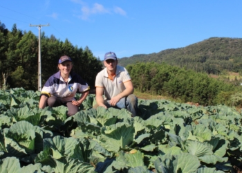 Trabalho destacado na agricultura eleva retorno de ICMS no setor em Sapiranga