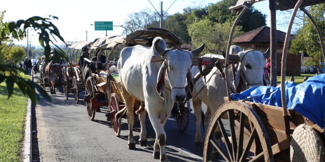 Serviço da Prefeitura de Campo Bom deverá facilitar emissão de documentos para transporte animal