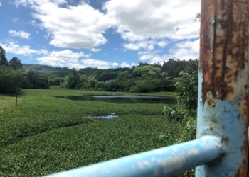 Mau cheiro próximo de arroio gera reclamações e traz problema ao debate em Campo Bom