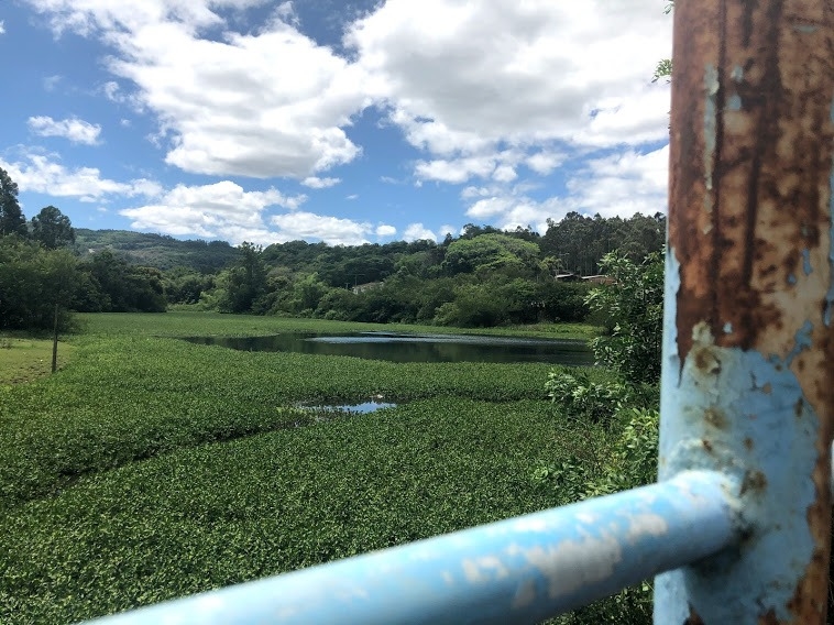 Mau cheiro próximo de arroio gera reclamações e traz problema ao debate em Campo Bom