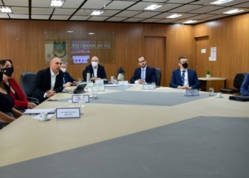 Conselho apresenta balanço de ações de desburocratização ao longo de 2020 no Rio Grande do Sul