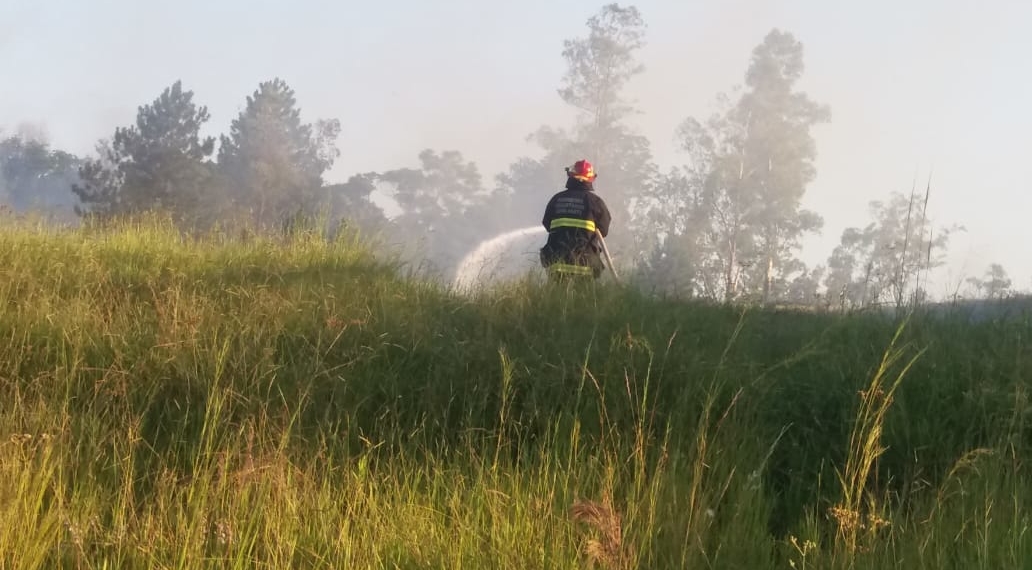 Bombeiros Voluntários de Nova Hartz combatem incêndio florestal às margens da RS-239