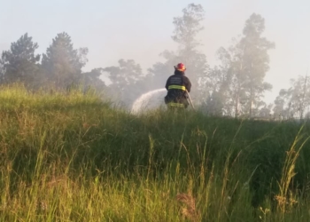 Bombeiros Voluntários de Nova Hartz combatem incêndio florestal às margens da RS-239