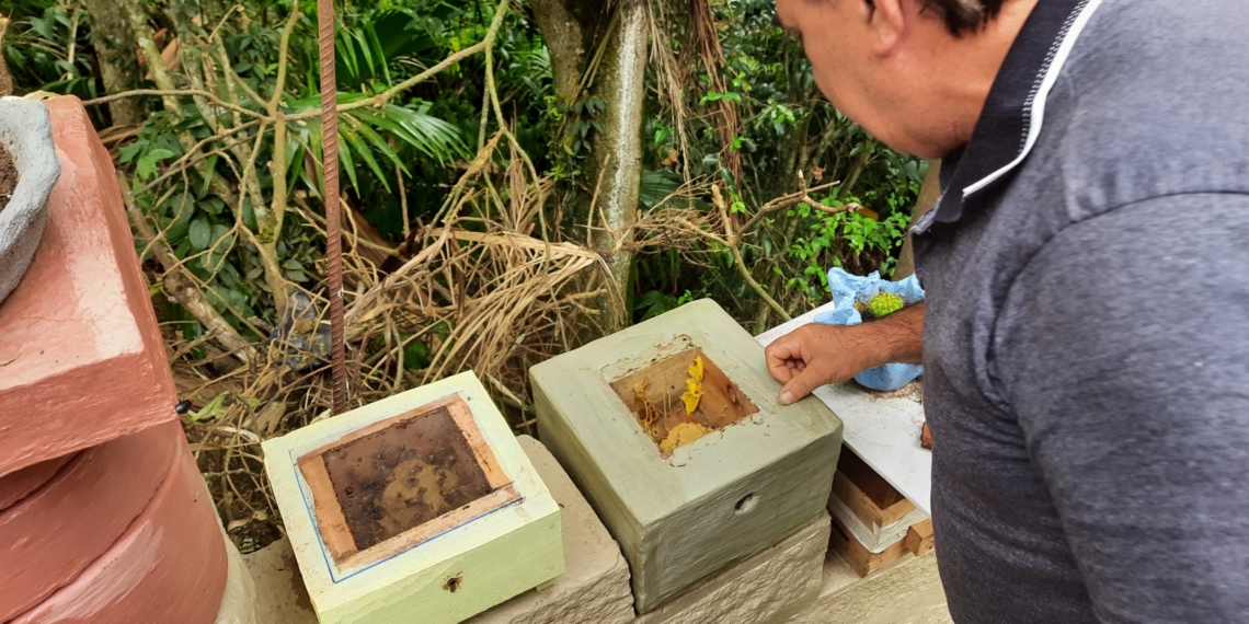 Produtor local de abelhas alerta para os cuidados com o inseto