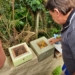 Produtor local de abelhas alerta para os cuidados com o inseto