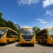 Municípios da região recebem ônibus escolares do governo estadual