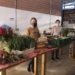 Procura por orgânicos aumenta em Sapiranga e feira motiva produtores locais