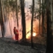 Bombeiros voluntários atenderam mais de 400 ocorrências no ano passado em Nova Hartz