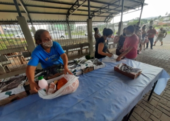 Programa beneficia 140 famílias sapiranguenses com 5,8 toneladas de alimentos