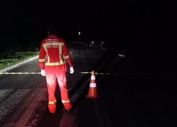 Motorista colide contra poste em Araricá