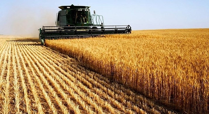 Com forte redução nas vendas de soja, exportações do agronegócio gaúcho caem 16,1% em 2020