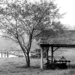 Encerra neste domingo inscrições do Concurso de Fotografias dos 66 anos de Sapiranga