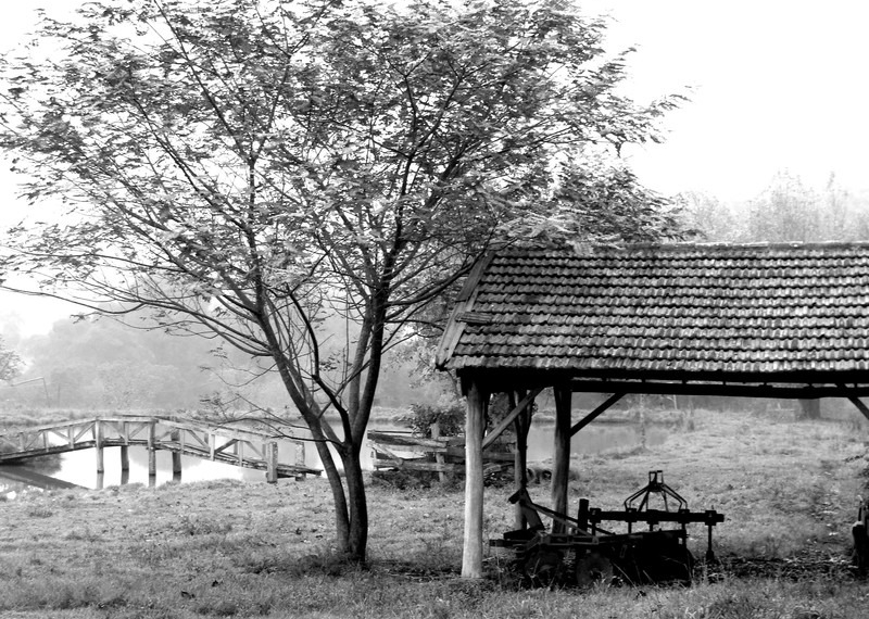 Encerra neste domingo inscrições do Concurso de Fotografias dos 66 anos de Sapiranga