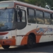 Orsi esclarece controvérsias no projeto do transporte público