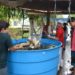 Feira do Peixe de Nova Hartz está cancelada