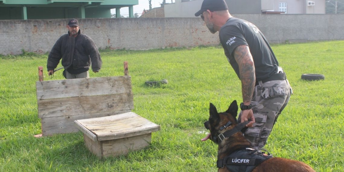 Com projeto pioneiro no Estado, DP de Sapiranga faz buscas com dois cães