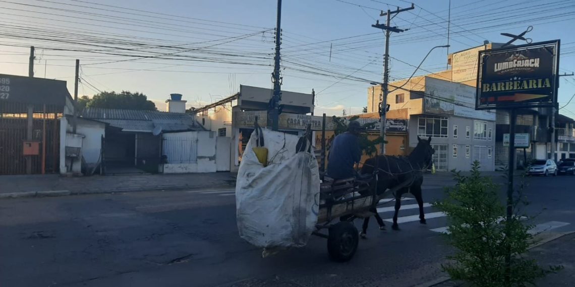 Sapiranga busca contratação para hospedaria de cavalos recolhidos