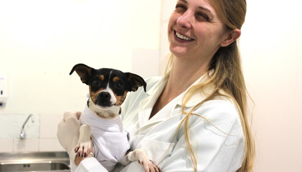 Fundo de proteção e bem-estar animal é criado em Sapiranga