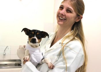 Fundo de proteção e bem-estar animal é criado em Sapiranga