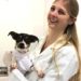 Fundo de proteção e bem-estar animal é criado em Sapiranga