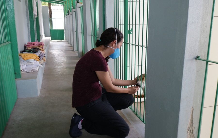 Em mês de combate a crueldade contra os animais, CCZ de Sapiranga incentiva adoção